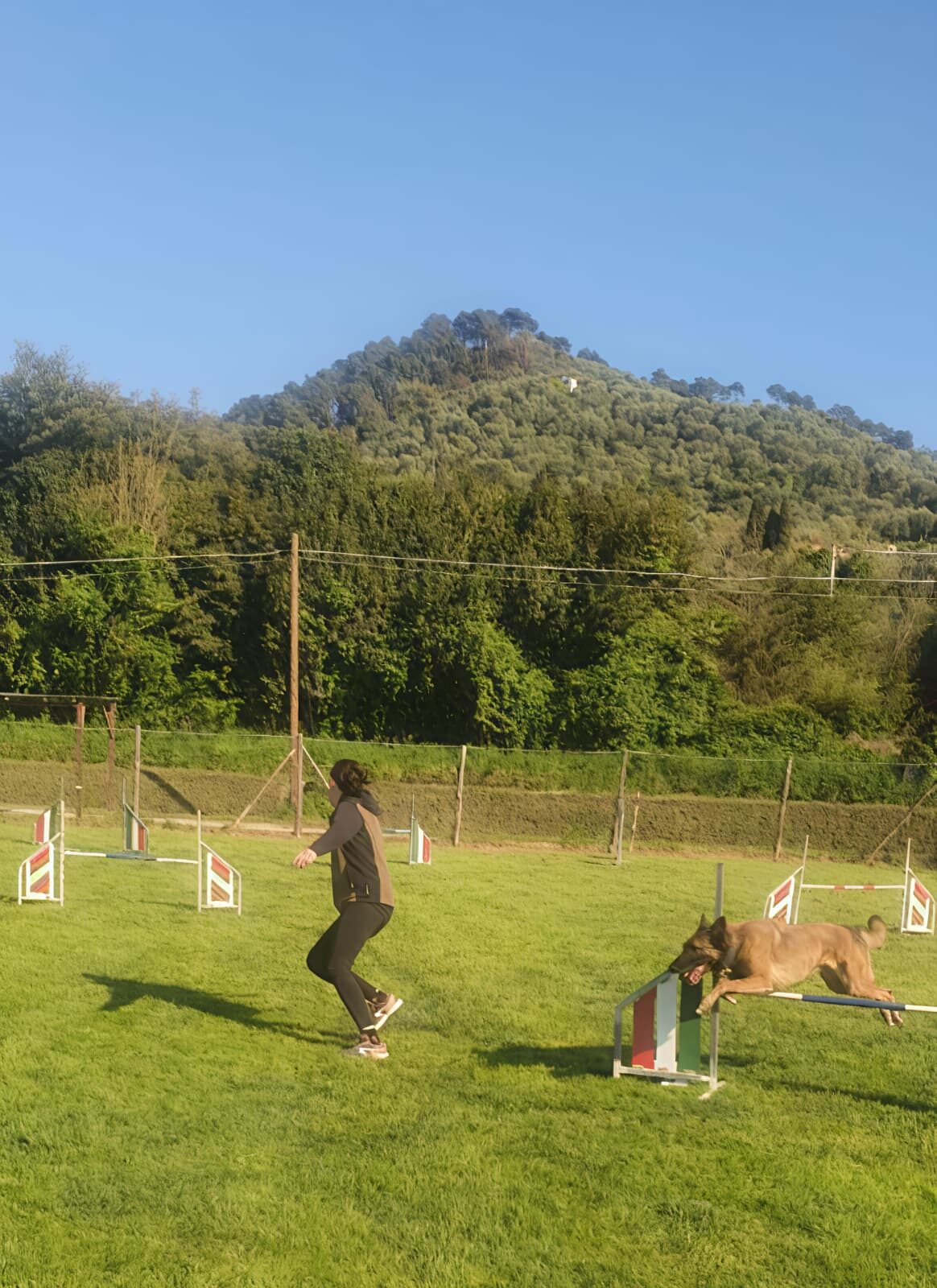 Sport
