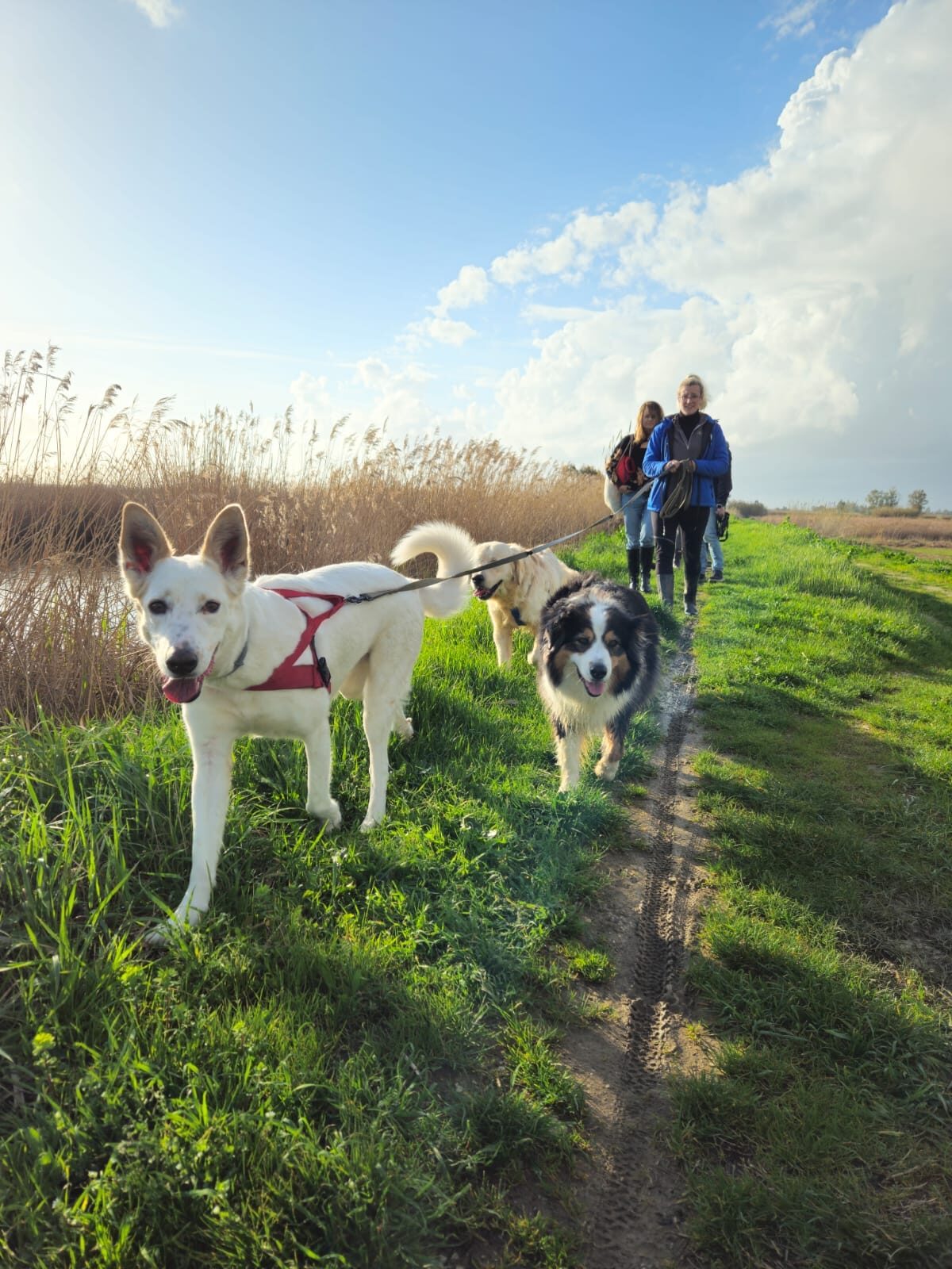 Passeggiate e trekking